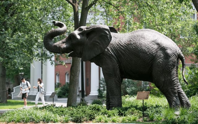 On-campus statue of Tufts University mascot Jumbo the Elephant.